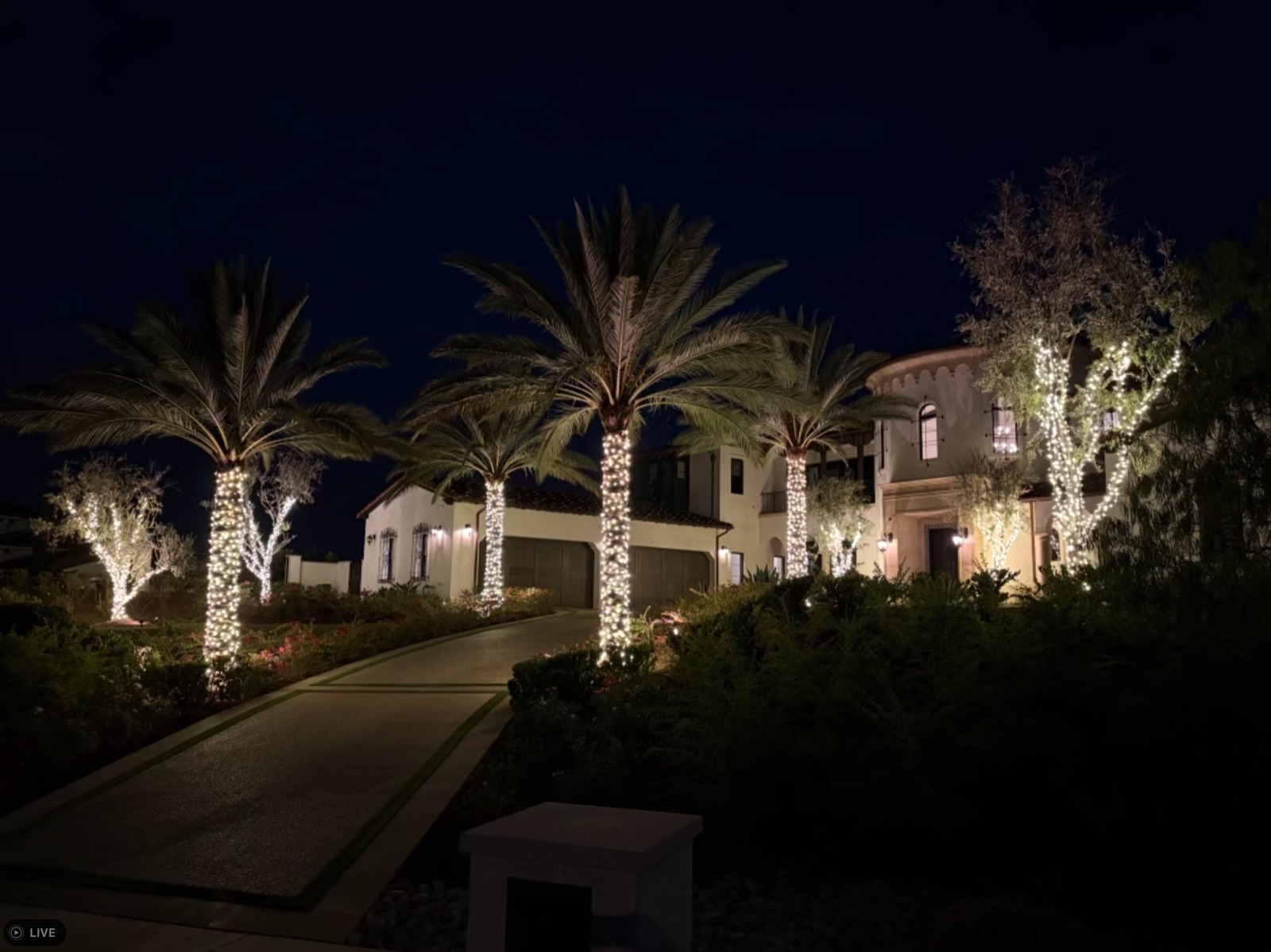 Palm-lined driveway lit warm white