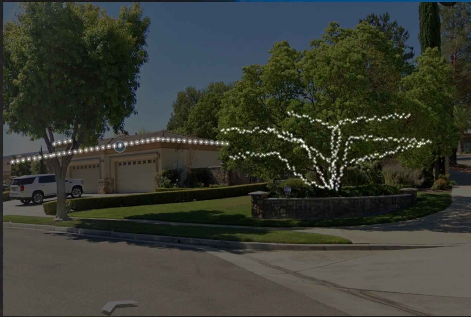 Daytime view of a large specimen tree wrapped with light strands