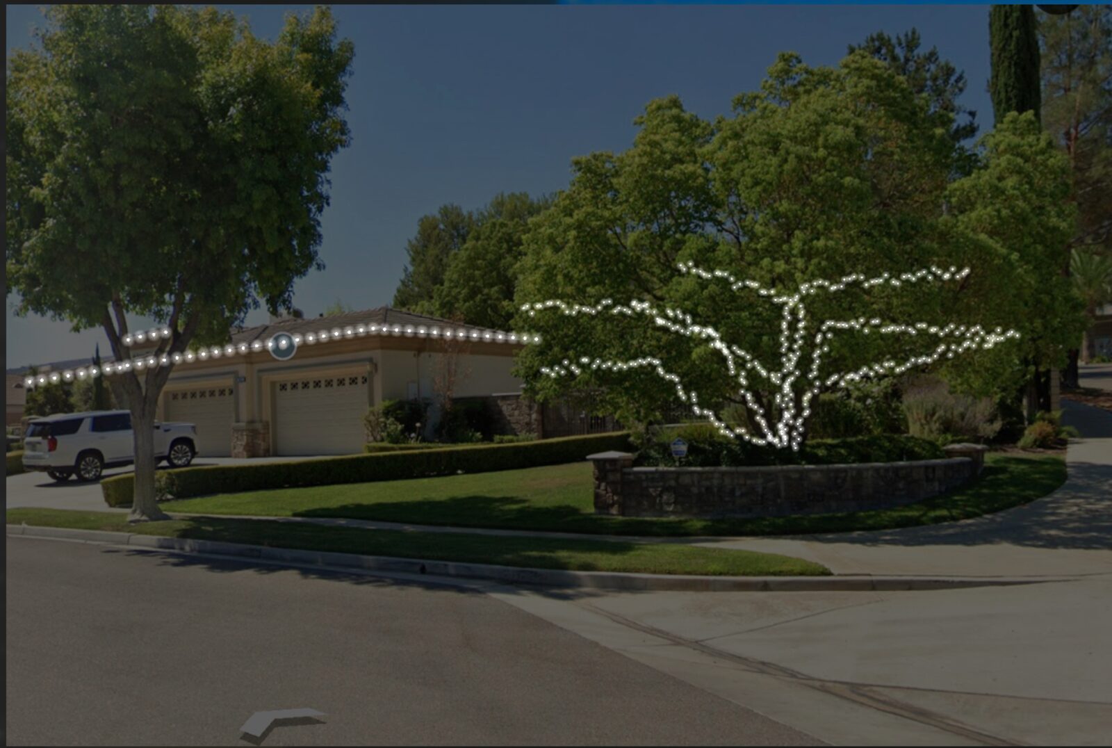Driveway of palms wrapped warm white