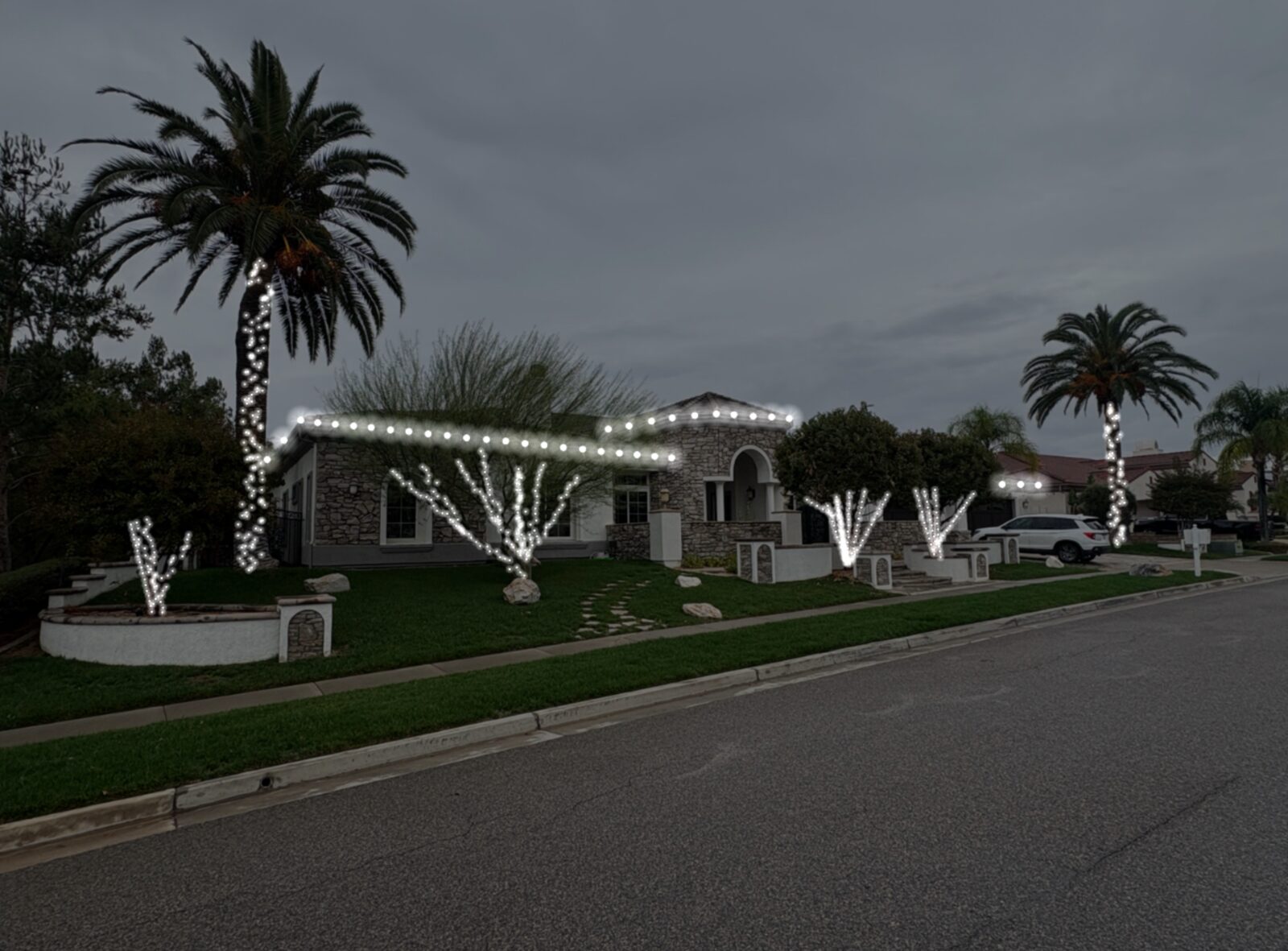 Gated estate palms with candy-cane wraps